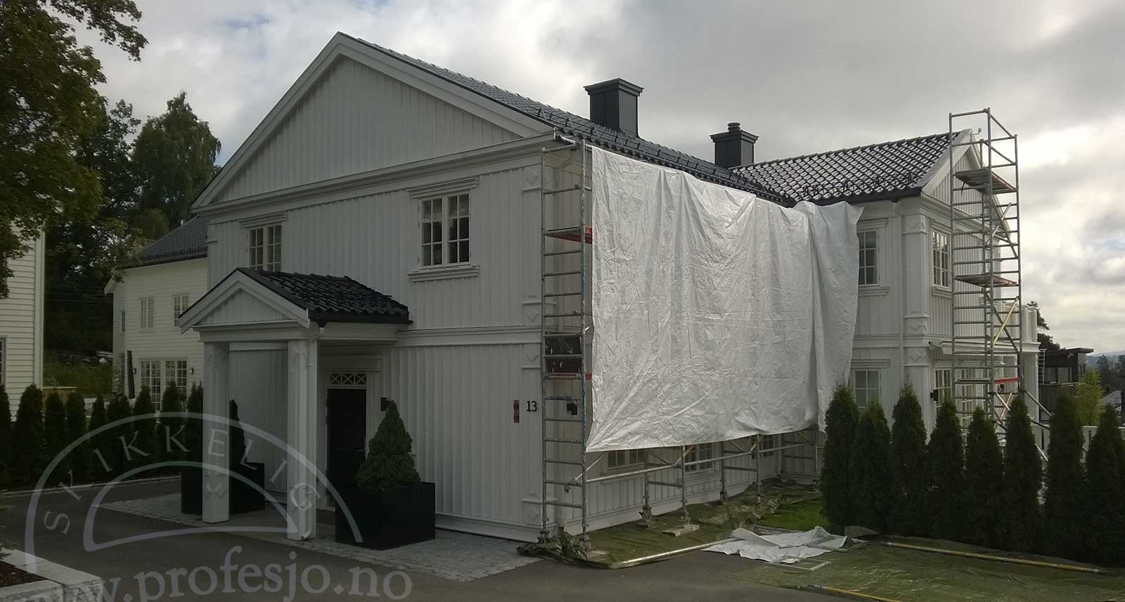 hvit-maling-av-hus-Ris-fasademaling-by-profesjo-oslo 